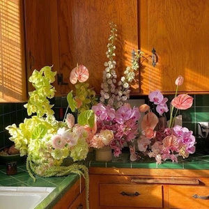 Meet your Posher, Jasmine